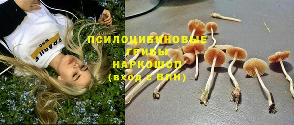 герыч Новодвинск