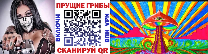 mega рабочий сайт Коряжма Галлюциногенные грибы Psilocybine cubensis