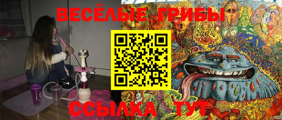 Галлюциногенные грибы Psilocybe  Коряжма 