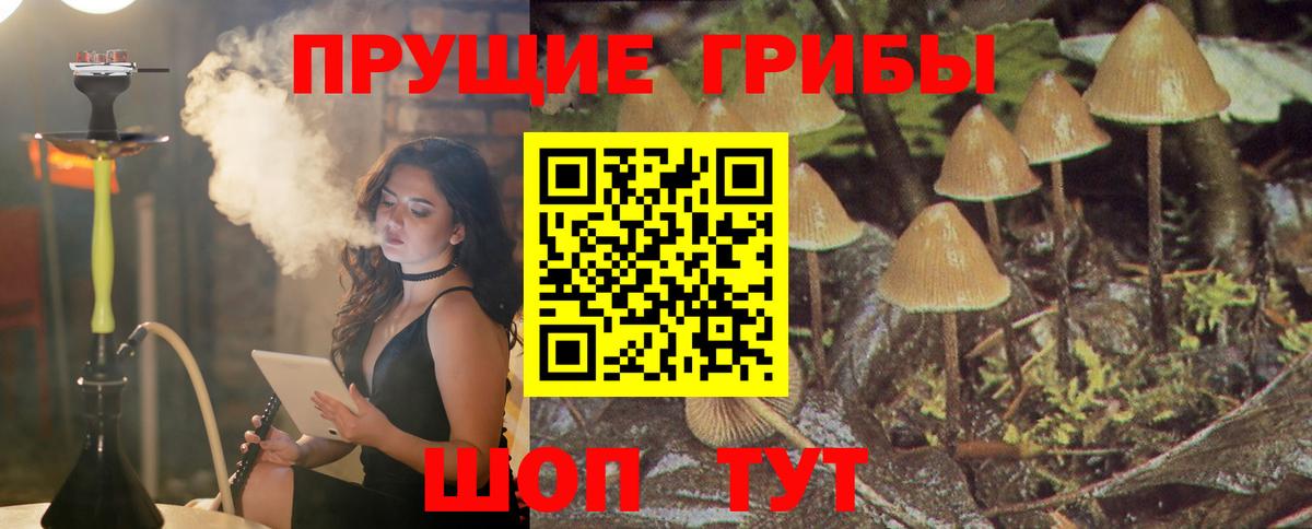 Псилоцибиновые грибы GOLDEN TEACHER Коряжма